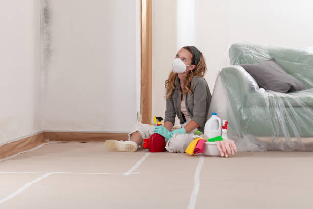 Reliable Mold Remediation contractor in Boca Raton, FL by WQB Mold Removal